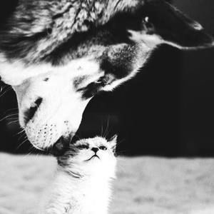 Meet your Posher, Catalina